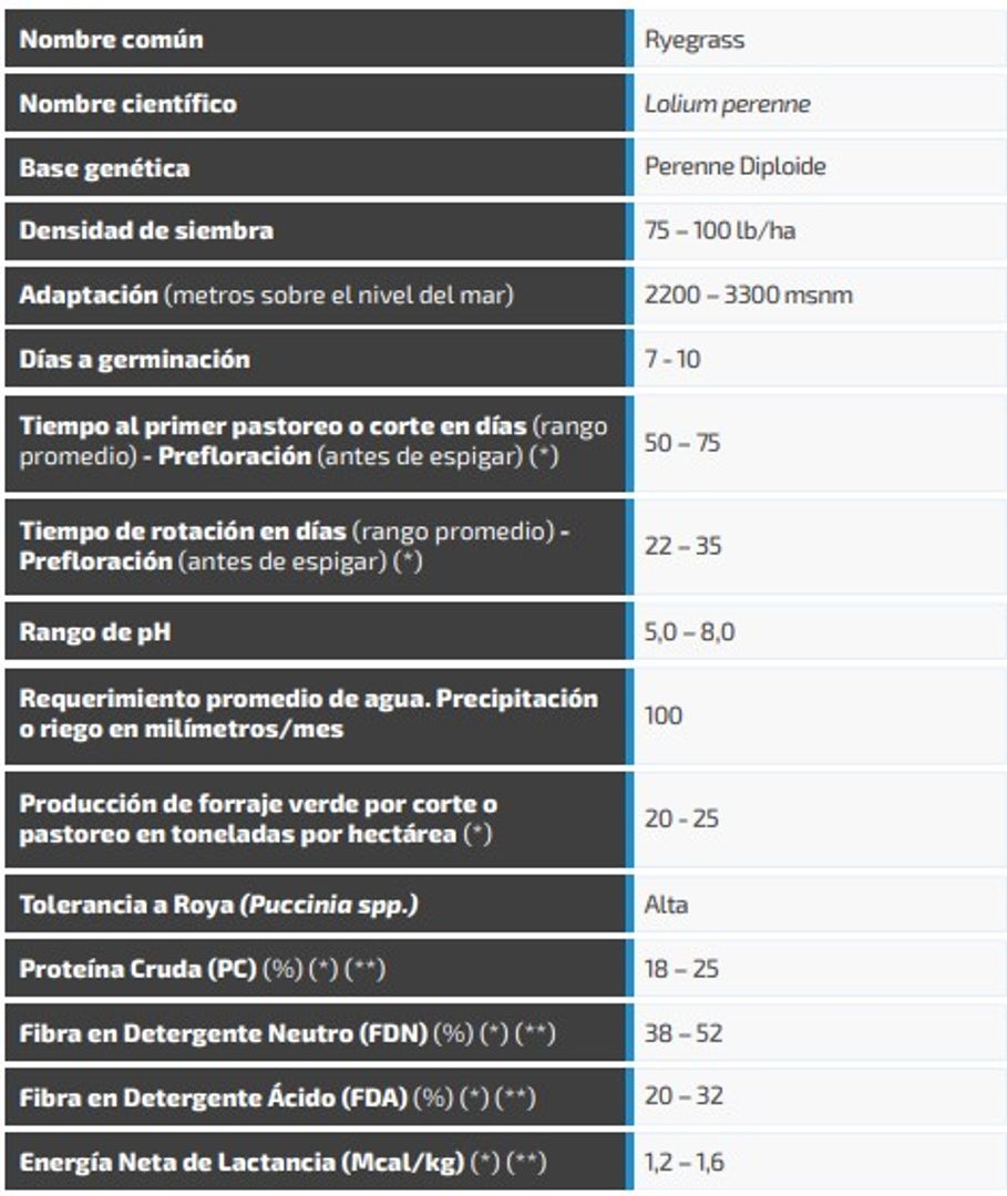 Ryegrass Alto (Perenne diploide)x Kilo AGOTADO  LB