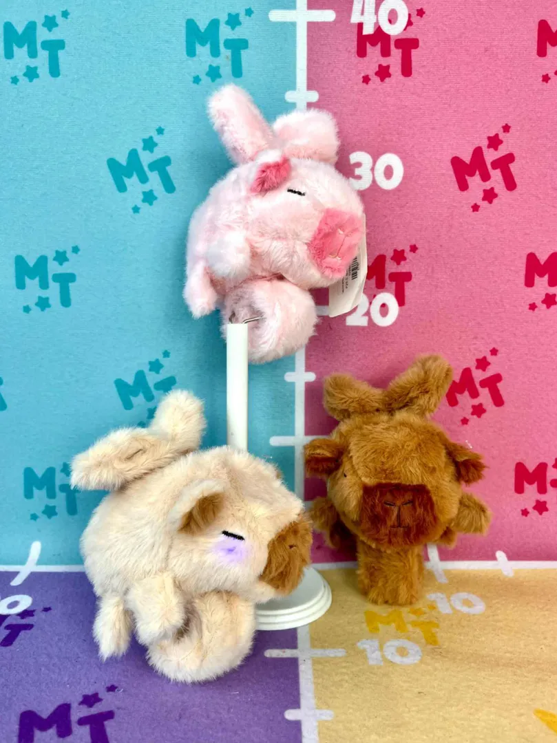 Capimanilla Alas Luz Sonido