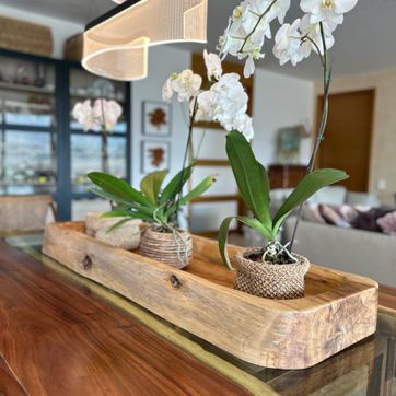 BATEA CANOA  - imagen 2