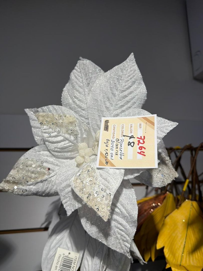 PONSETIA BLANCA PANA