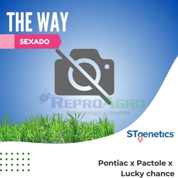THE WAY SEXADO - imagen 1