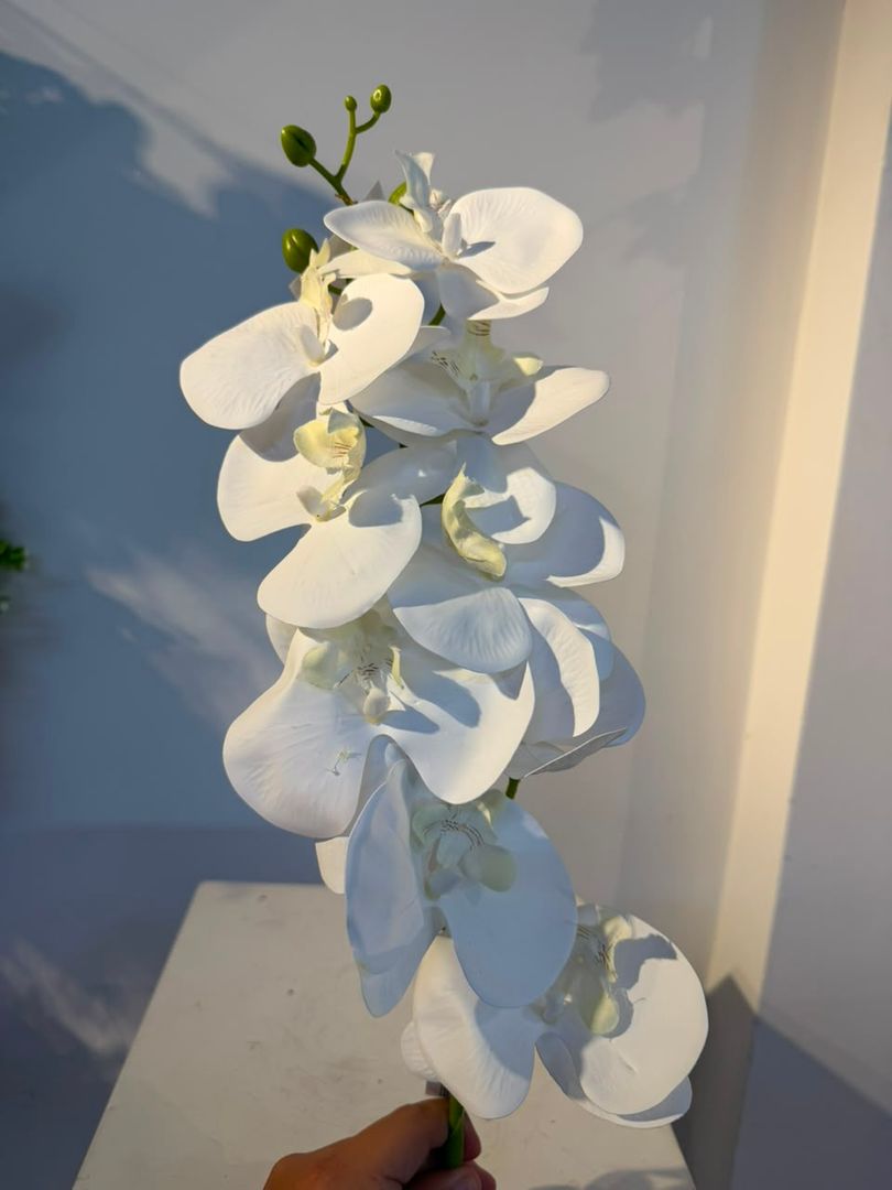 ORQUIDEA BLANCA EN VARA X 9
