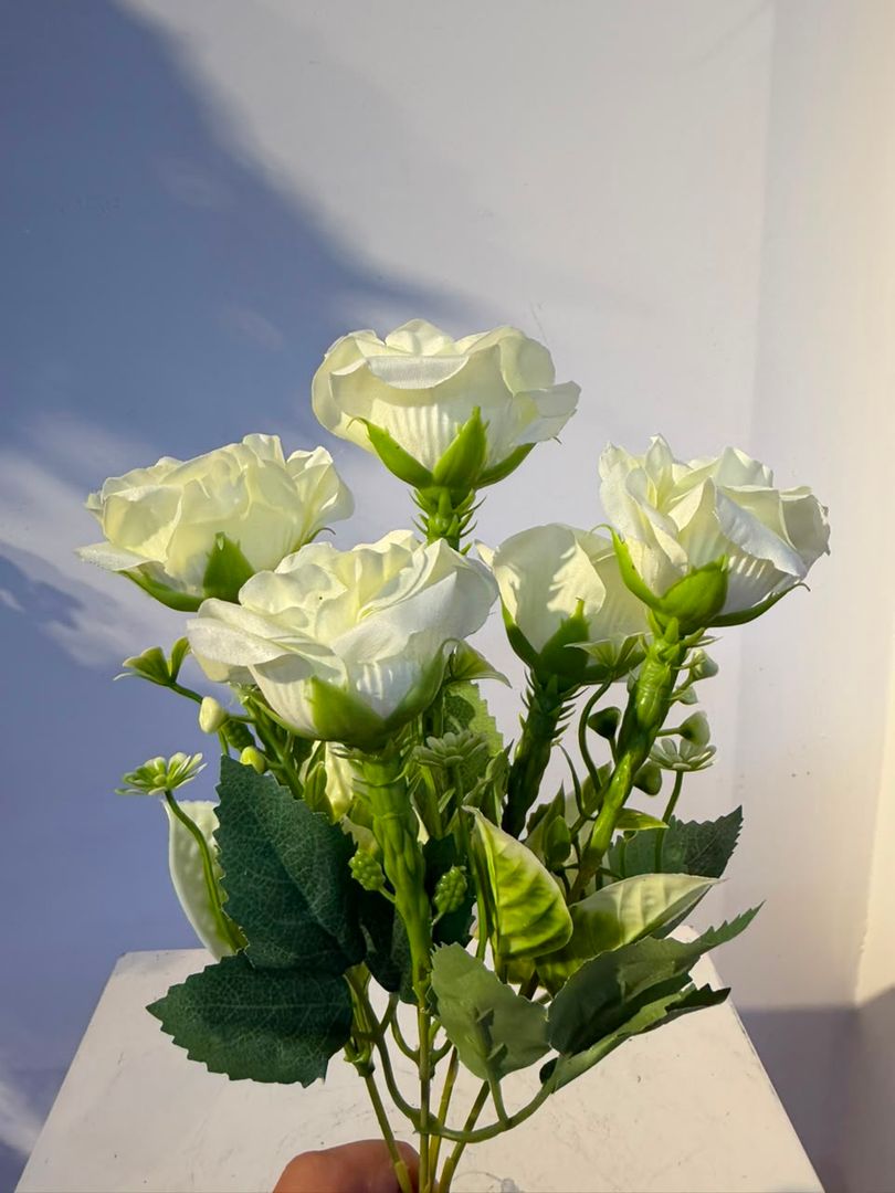 MINI ROSA X 5 BLANCA
