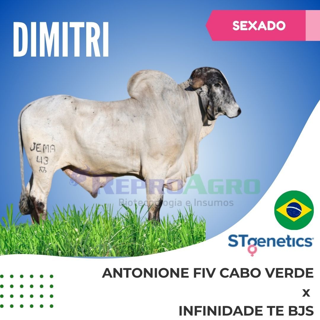 DIMITRI SEXADO