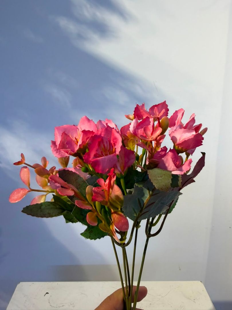 FOLLAJE FLOR FUCSIA
