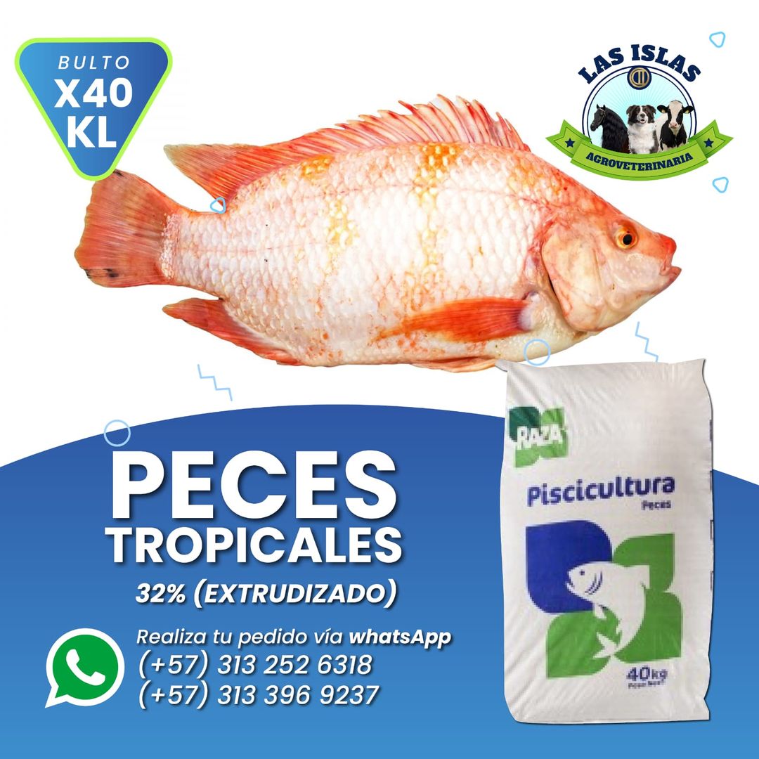 PECES TROPICALES 32%