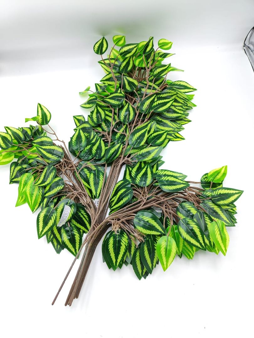 PAQUETE DE HOJAS POR 12 