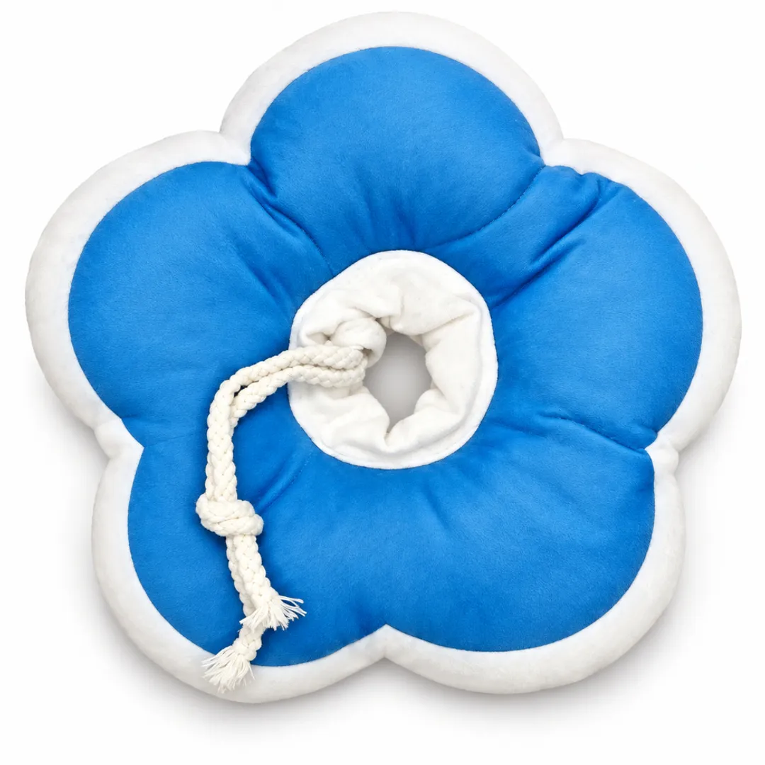 Accesorio para mascota