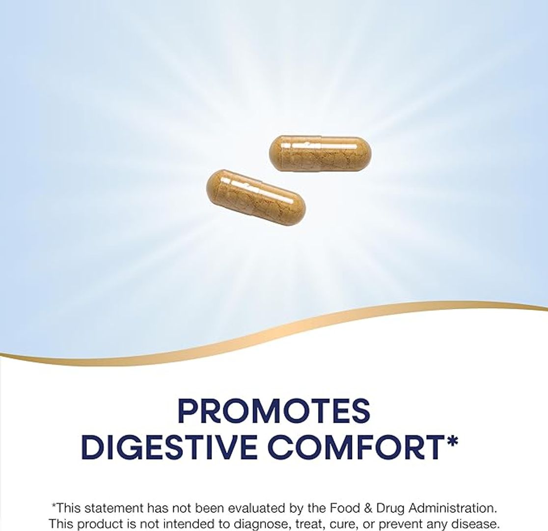 Raíz de jengibre 1,100 mg  240 cápsulas 