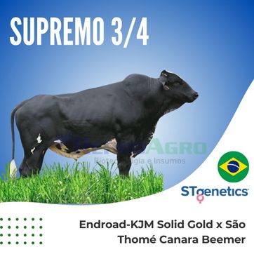 SUPREMO - imagen 1