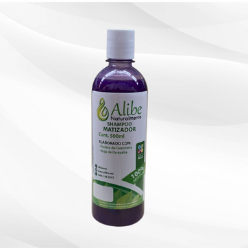 Imagen del producto ALIBE SHAMPOO MATIZADOR 