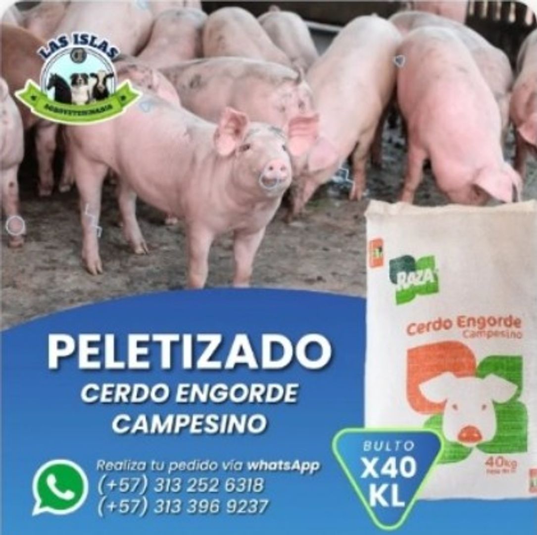 CERDO ENGORDE CAMPESINO x 40 Kilos