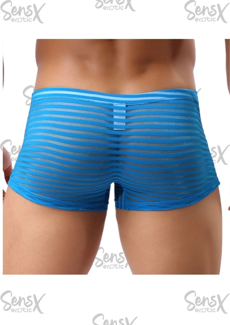 Bóxer Transparente con Diseño a Rayas