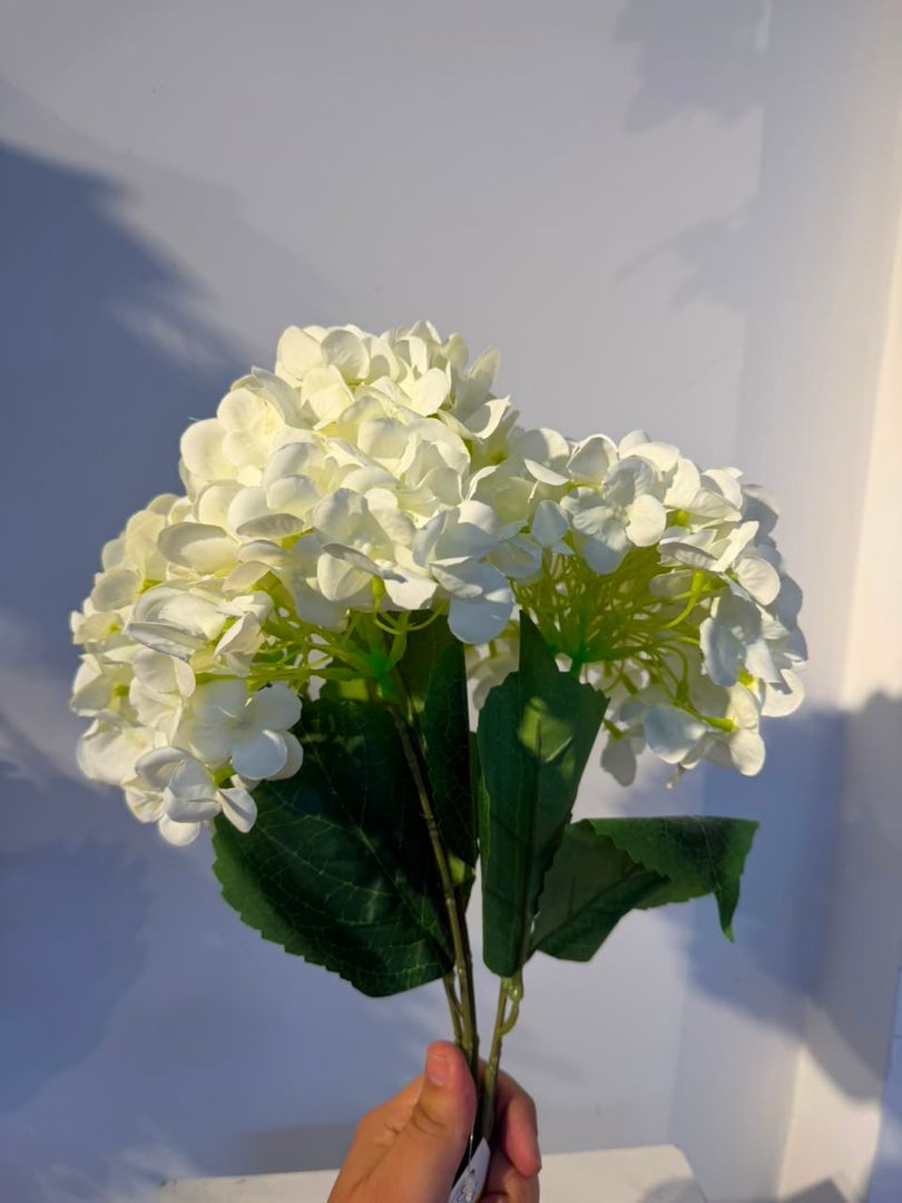 HORTENCIA X 5 BLANCA