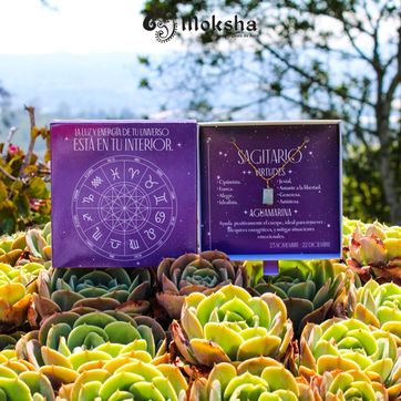 Sagitario - imagen 1