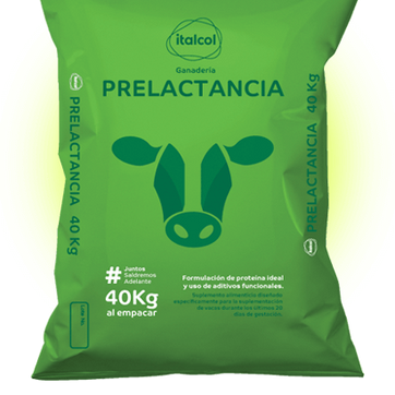 ITALCOL PRELACTANCIA 40 Kilos - imagen 1