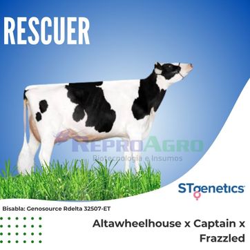 RESCUER - imagen 1