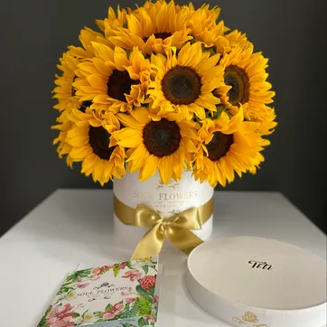 Imagen del producto CAJA REDONDA GIRASOL