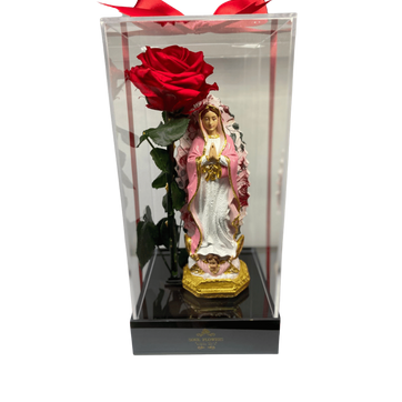 Imagen del producto VIRGEN SOLITARIO