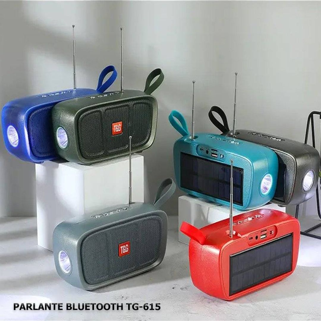 PARLANTE TG-615
