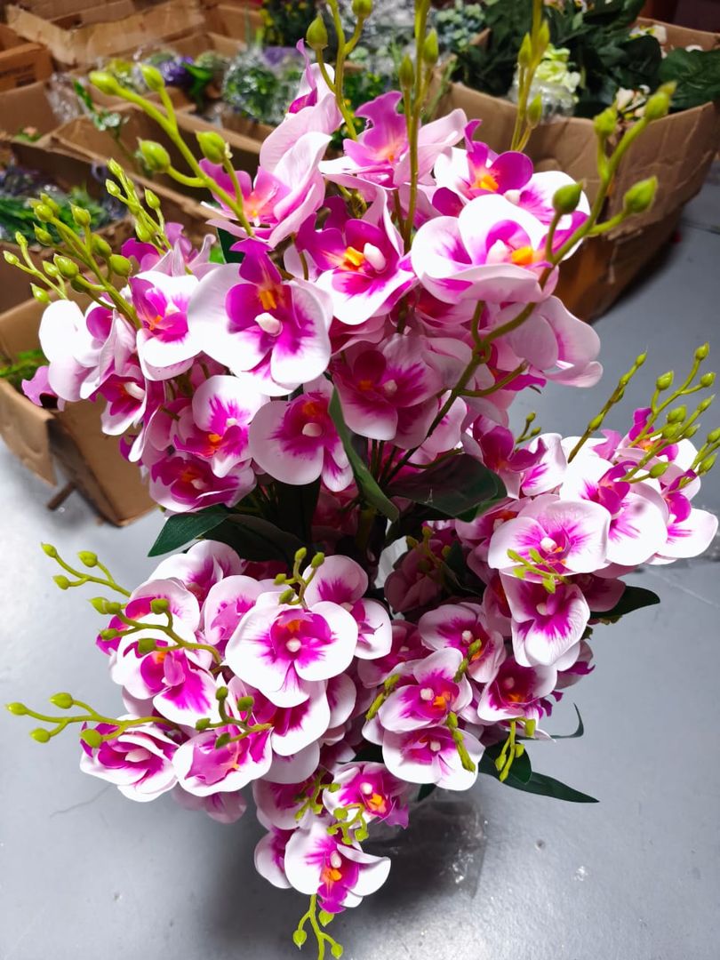 ARBOL ORQUIDEA RS/181