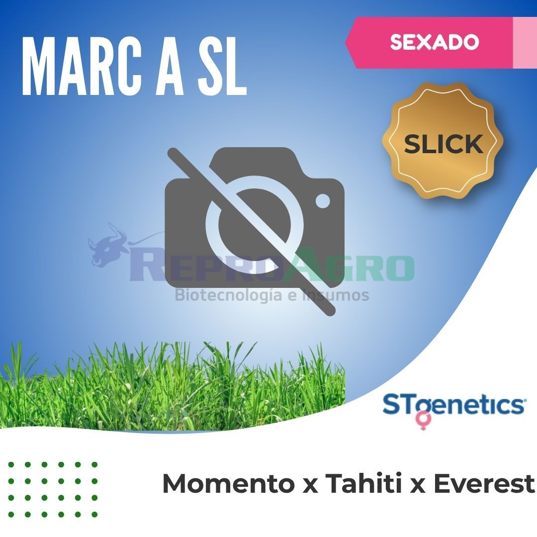 MARC A SL SEXADO