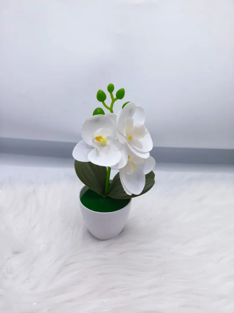 MATERO ORQUIDEA JM013