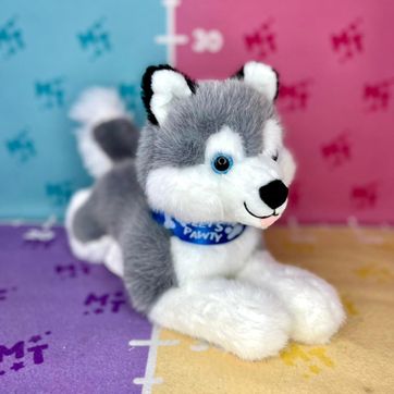 Imagen del producto Lobo siberiano acostado collar azul