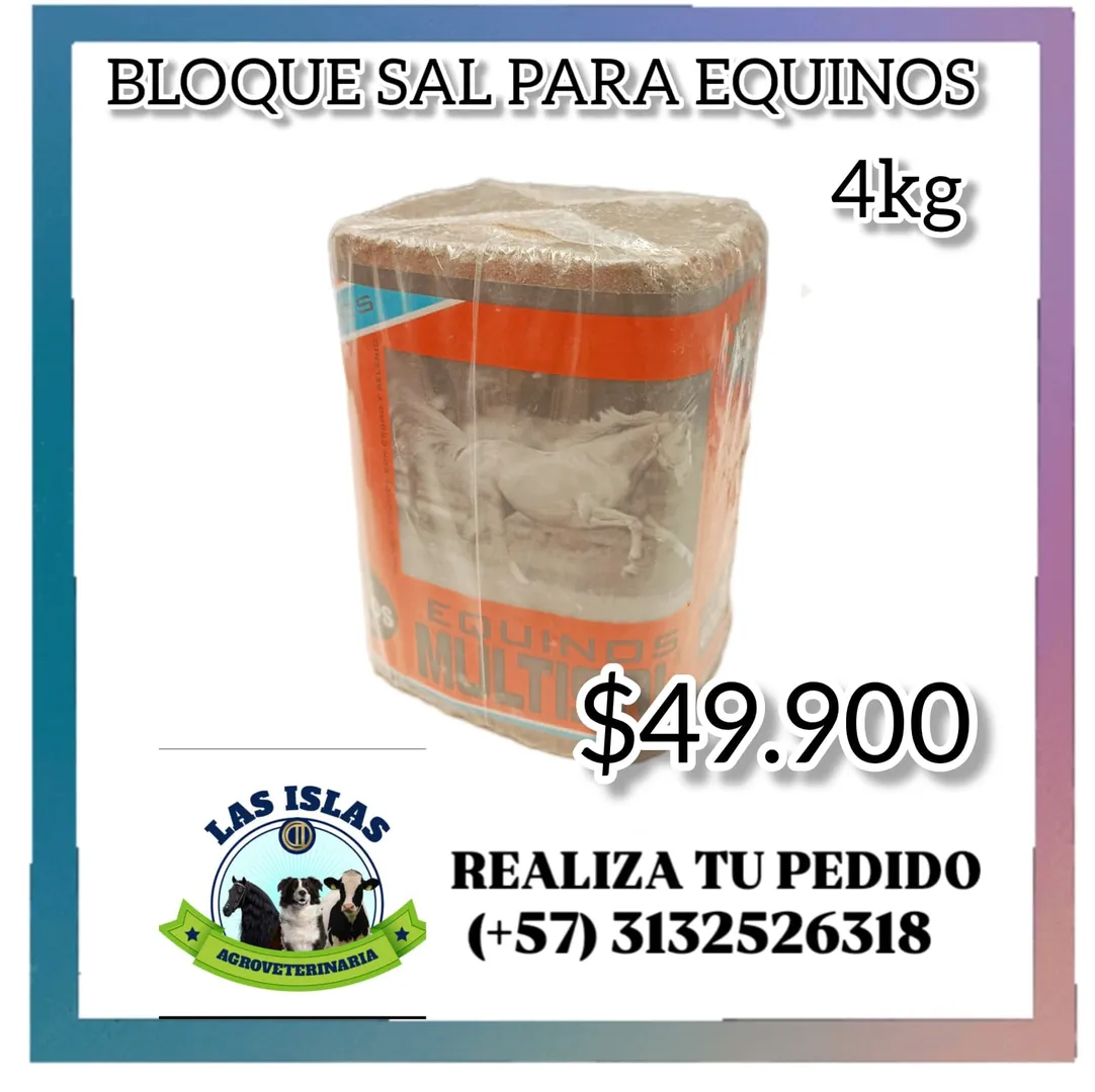 MULTISAL BLOQUE EQUINOS 4KG