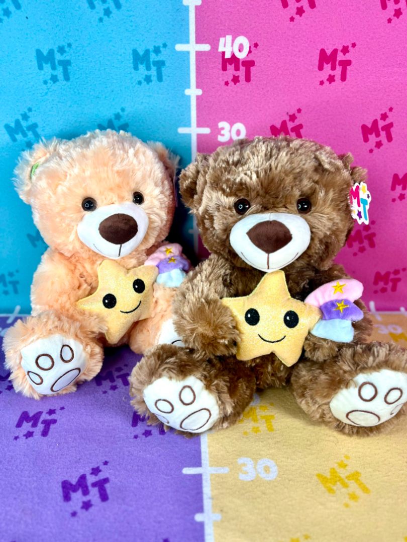 Oso rainbow star 30cm PLS