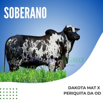 SOBERANO - imagen 1