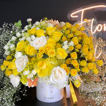 Imagen del producto BOX GARDEN PEONIA