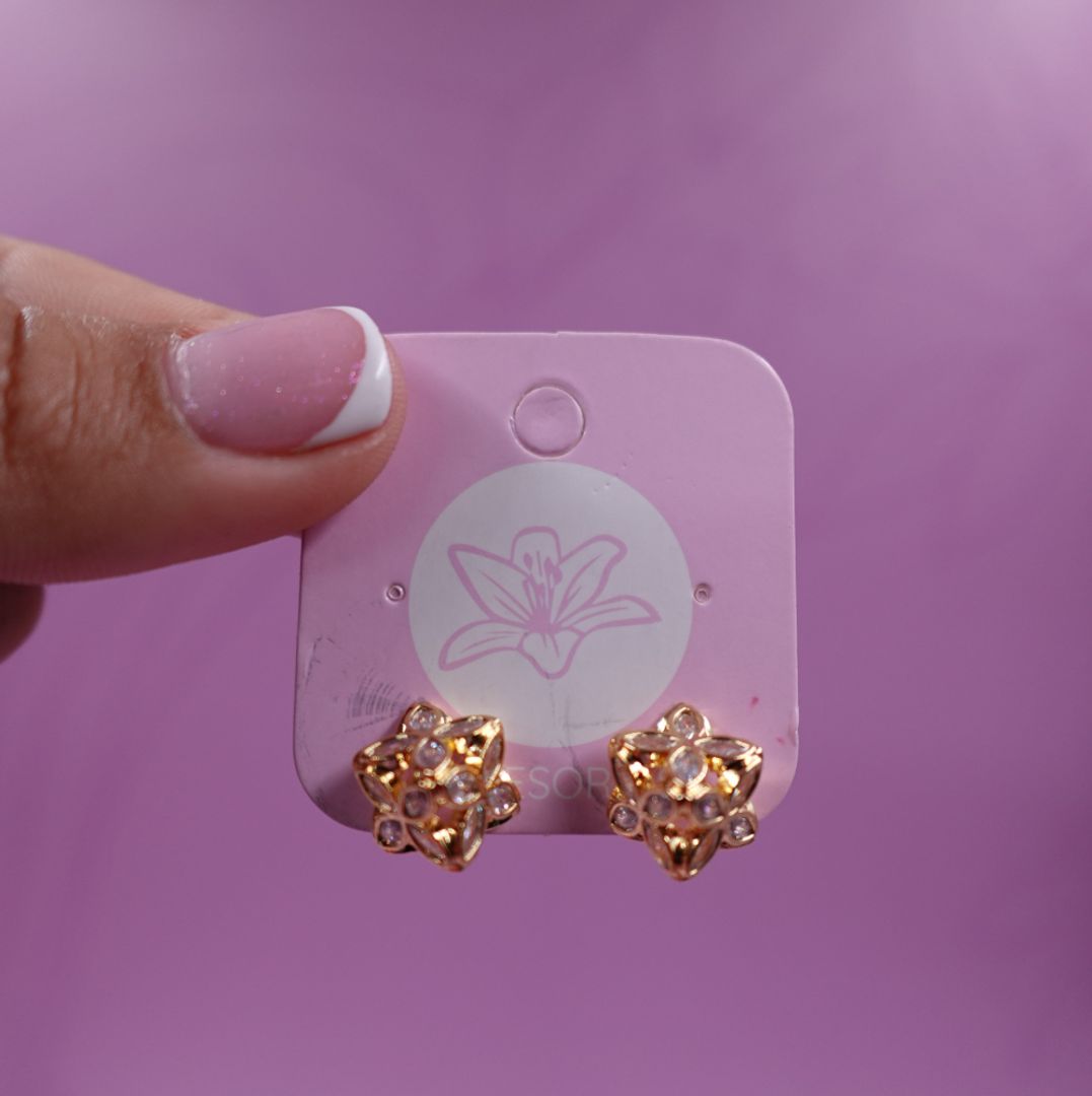 ARETA DORADA PEPITAS