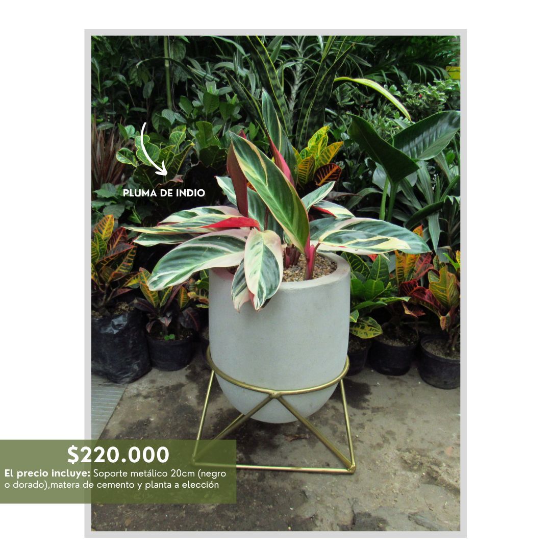 PROMO ARMA TU COMBO SOPORTES  