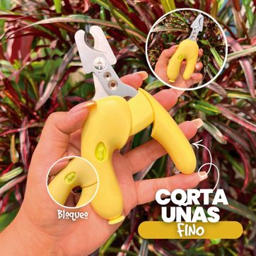 Imagen del producto COR22