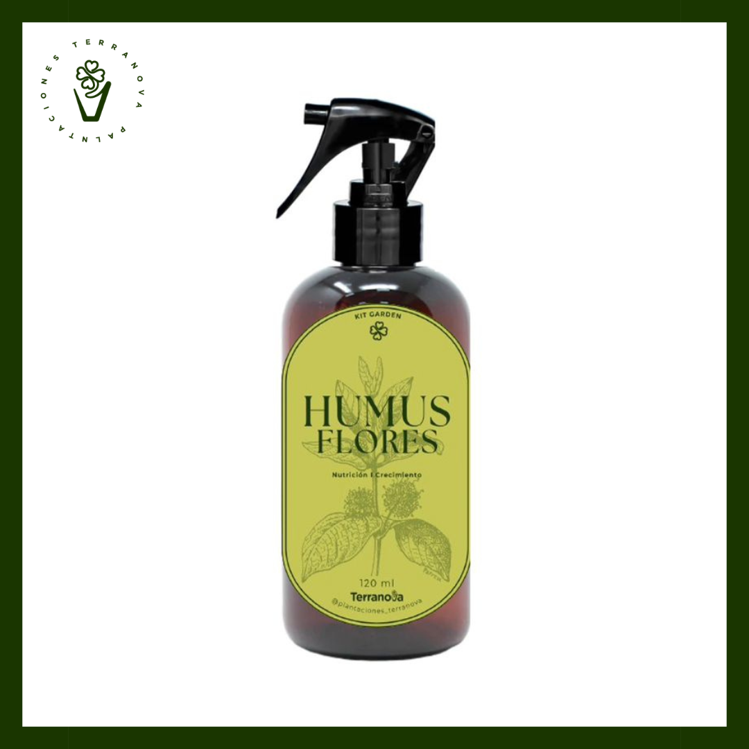 HUMMUS DE FLOR - ORGANICO