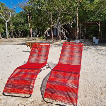 Asoleadora  - imagen 1