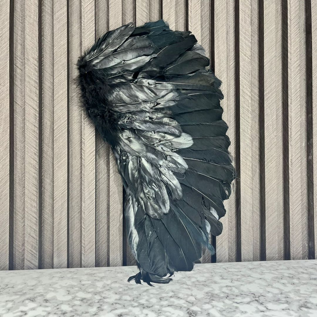 ALAS DE ANGEL CERRADA NEGRA