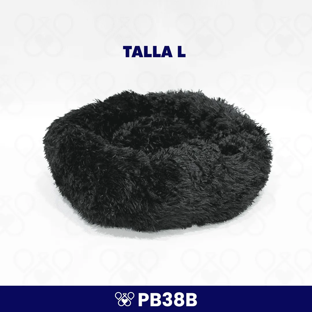 PB38B-