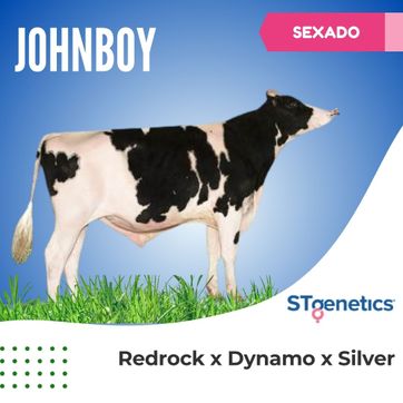 JOHNBOY SEXADO - imagen 1