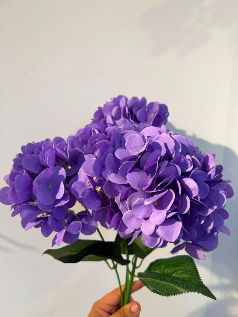 HORTENCIA X 5 MORADA