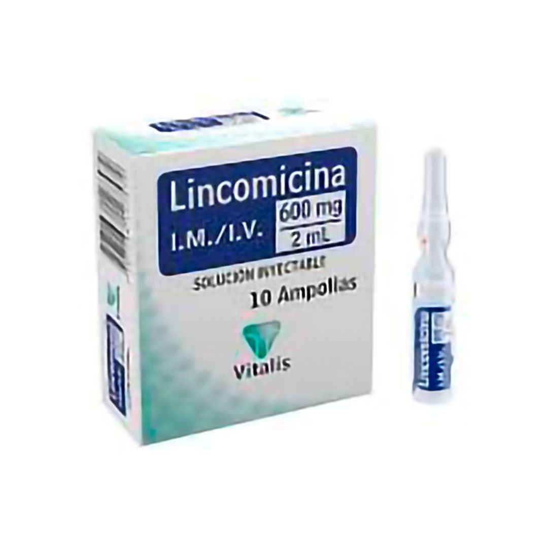 LINCOMICINA 600MG VITALIS AMPOLLA