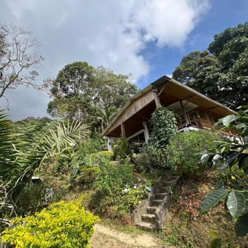 Cabaña S8 - imagen 3