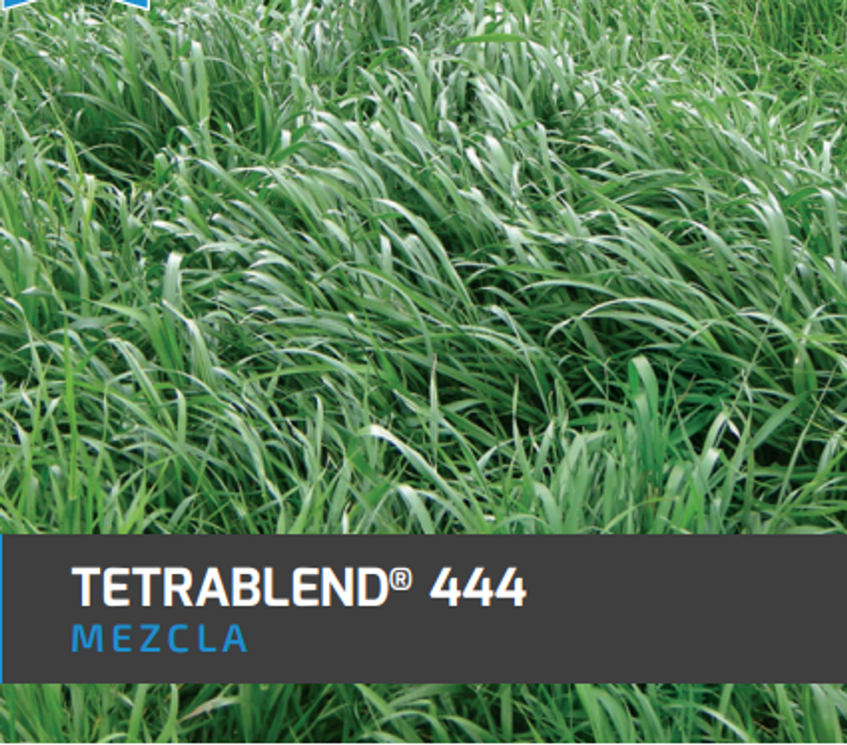 Tetrablend 444 x Kilo