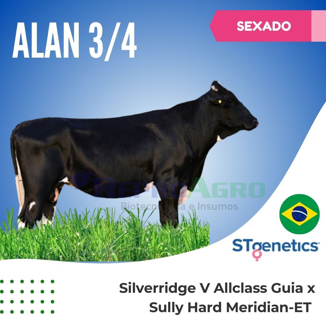 ALAN SEXADO