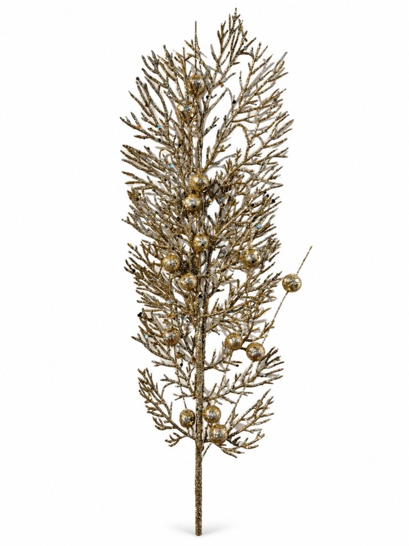 ESPIGA CORAL CHAMPAN