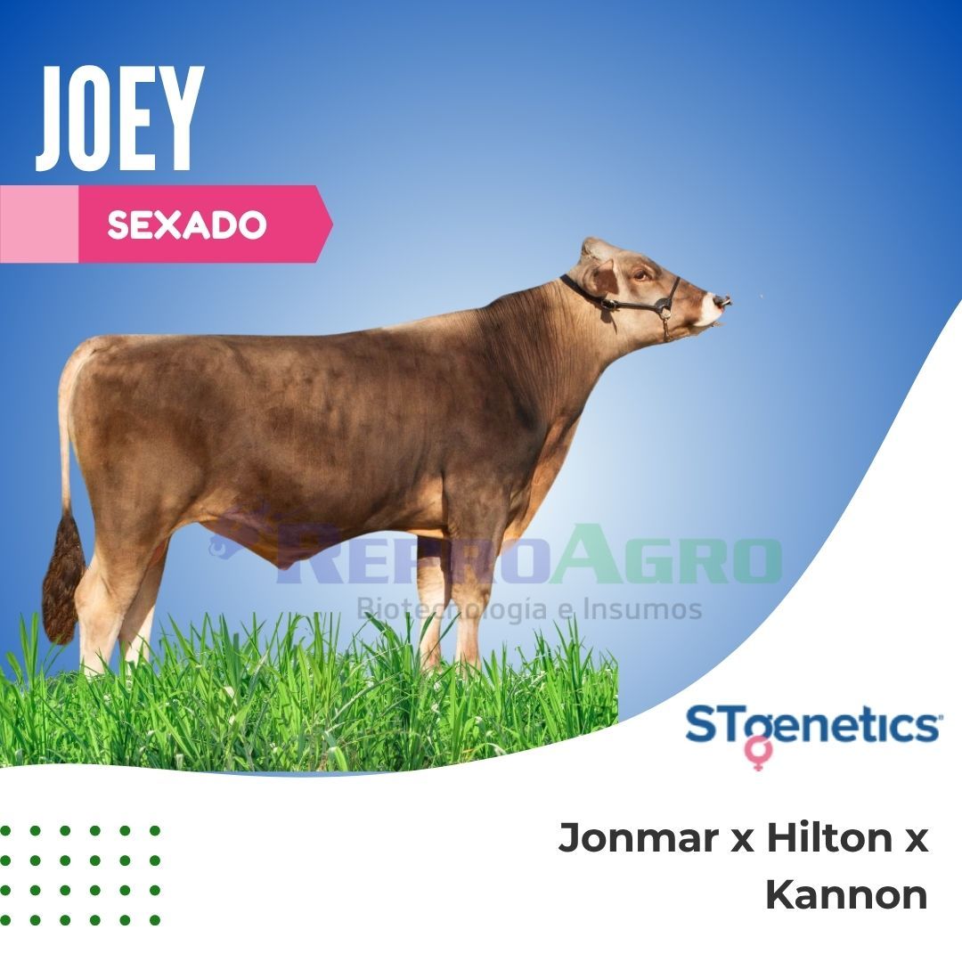 JOEY SEXADO