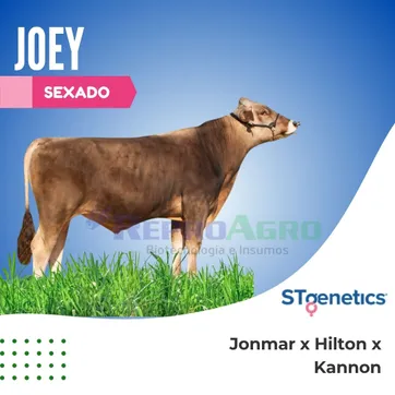 JOEY SEXADO - imagen 1