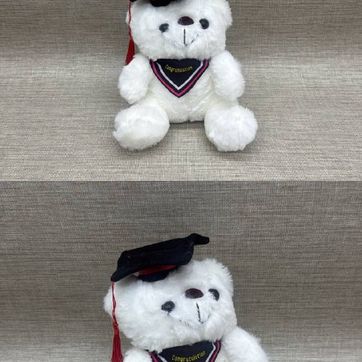 Imagen del producto OSITO BLANCO DE GRADUACIÓN 18 CM