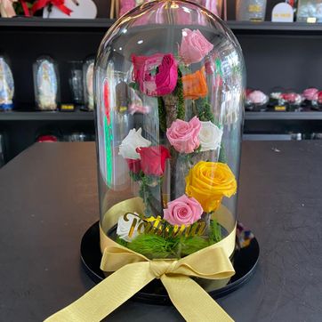 JARDÍN ENCANTADO - imagen 1